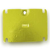 MG646974 yellow